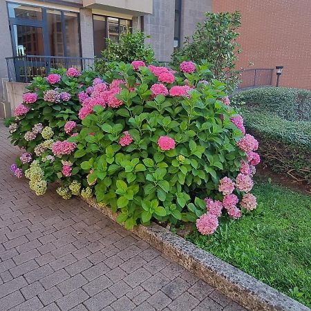 La Casetta Di Grazia E Nino Apartman Buccinasco Kültér fotó
