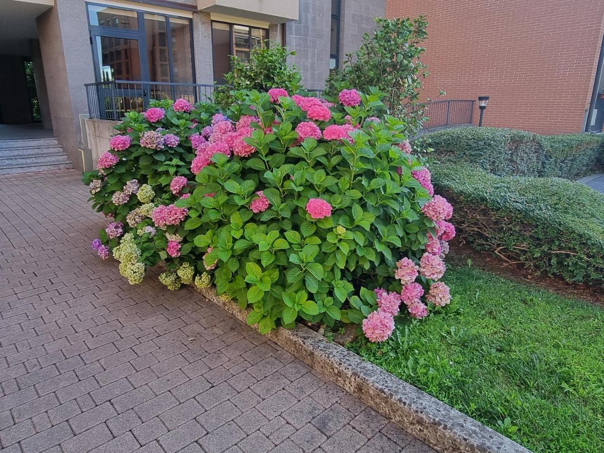 La Casetta Di Grazia E Nino Apartman Buccinasco Kültér fotó